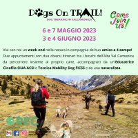 Dogs on Trail Associazione REC Passeggiate a sei zampe cani